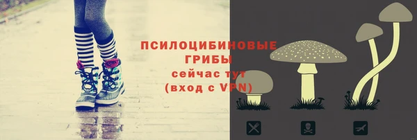 спайс Алексеевка