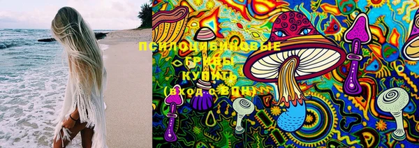 спайс Алексеевка