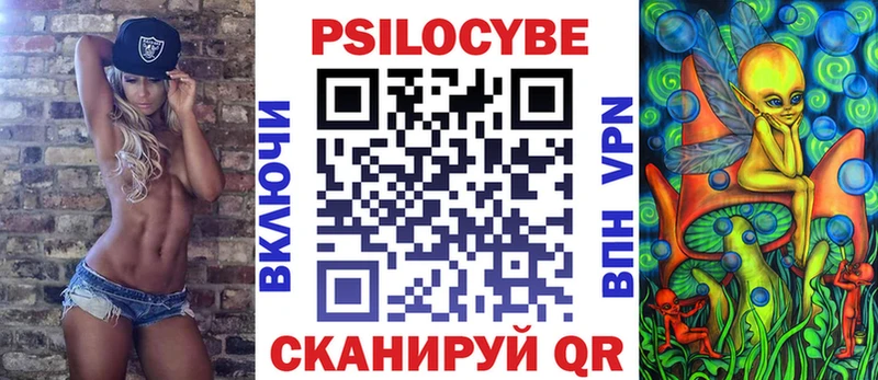 Псилоцибиновые грибы Psilocybe Бокситогорск